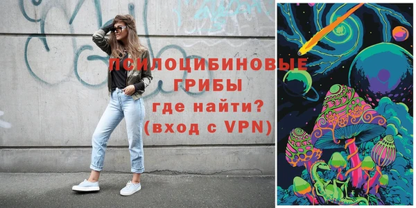 ALPHA-PVP Гусев