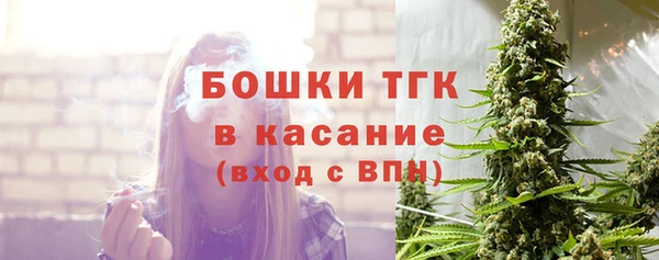 ALPHA-PVP Гусев