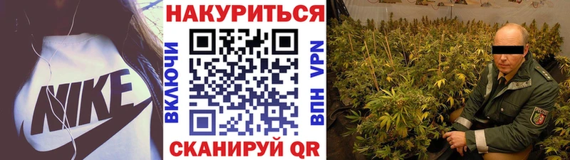 Купить закладки  Новоуральск  Конопля MAZAR 